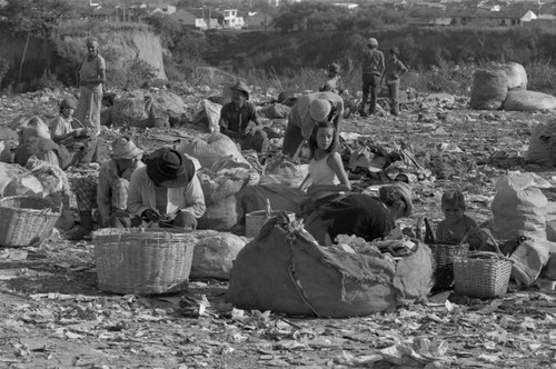 Looking through the landfill, Bucaramanga, Colombia, 1975