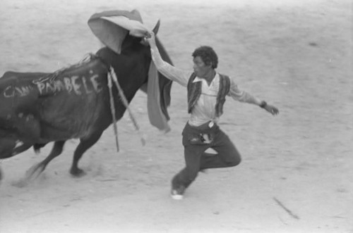 Bullfighter waving his cape in front of bull, San Basilio de Palenque, 1975