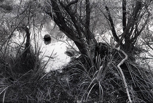 Survival school students practice silent swim techniques, Liberal, 1982