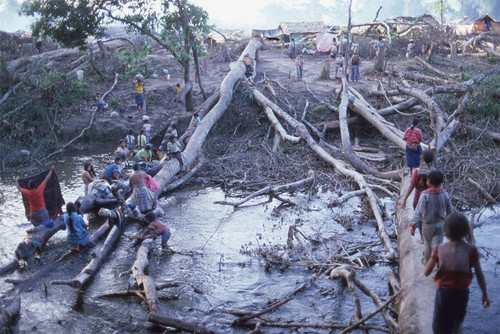Guatemalan refugees sit on tree trunks in a river, Puerto Rico, ca ...