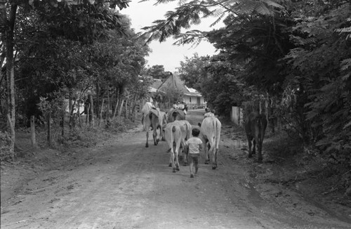 Walking into town, La Chamba, Colombia, 1975