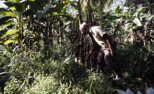 Fermín Herrera working in the field, San Basilio de Palenque, 1976