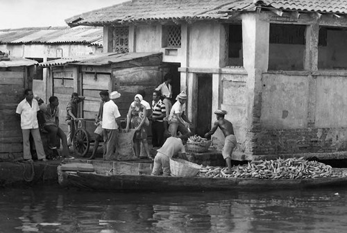 Men unload bananas from a boat, Cartagena Province, 1975