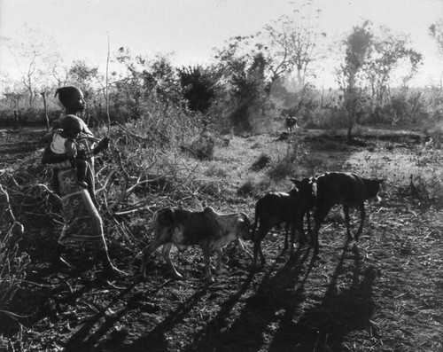 Woman and child herding, Tanzania, 1979