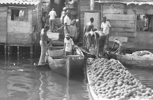 Men unload fruits from boats, Cartagena Province, 1975