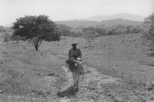 Man riding a mule, San Basilio de Palenque, 1976