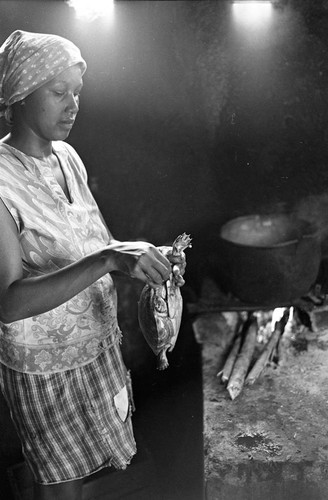 Woman cooking a turtle, San Basilio de Palenque, 1977