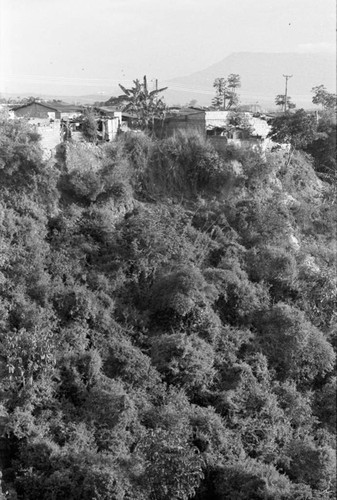 Precarious settlement, Bucaramanga, Colombia, 1975