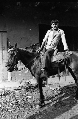 Guerrilla on a mule, San Agustín, 1983