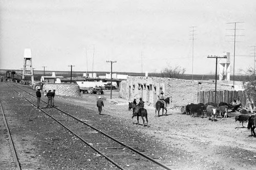 Groups of men gather at the train tracks, Chihuahua, 1983