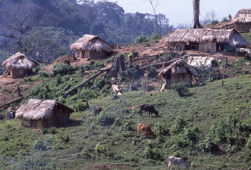 Guatemalan refugee camp, Ixcán, ca. 1983