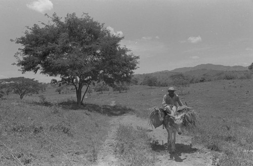 Man on a mule, San Basilio de Palenque, 1976