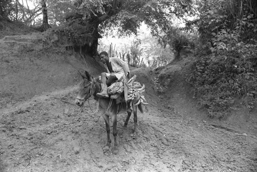 Man riding a mule, San Basilio de Palenque, 1976