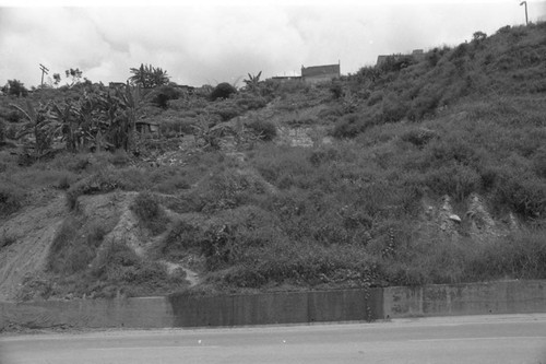 Soil erosion along a road, Bucaramanga, Colombia, 1975