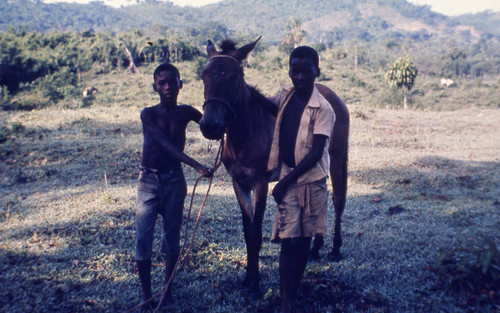 Children holding a mule, San Basilio de Palenque, 1976