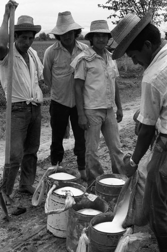 Men out on the field, La Chamba, Colombia, 1975