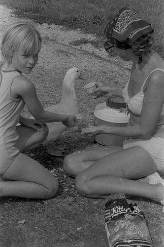 Feeding ducks, 1971