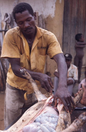 Man butchering a pig, San Basilio de Palenque, 1976