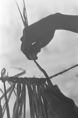 Man braiding palm leaves, San Basilio de Palenque, 1977