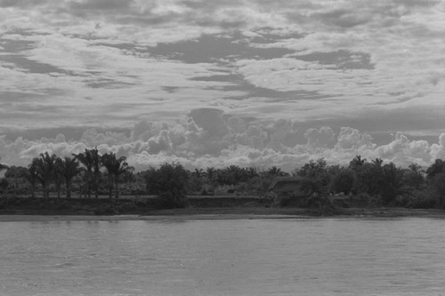 Panoramic view of a section of the Magdalena River, La Chamba, Colombia, 1975