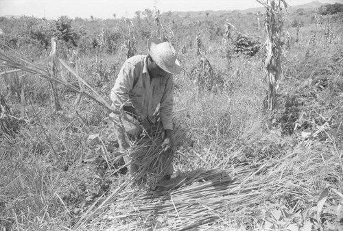 Man working in a field, San Basilio de Palenque, 1976