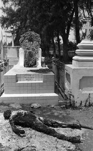 Charred guerrillero in a cemetery, Usulután, 1982