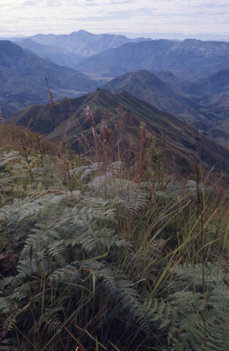 A panoramic view of the mountains, Tierradentro, Colombia, 1975