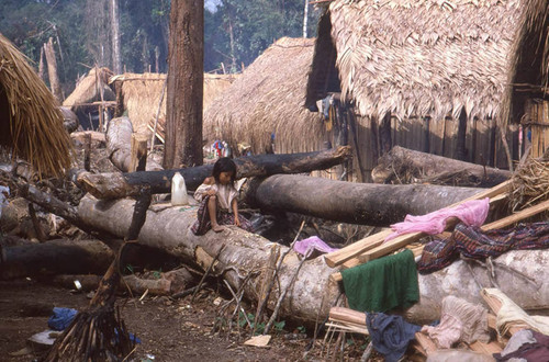 Guatemalan refugee sits on a log, Chajul, 1983