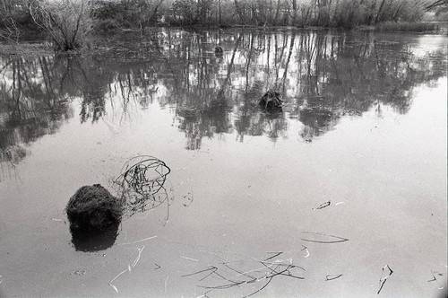 Survival school students practice silent swim techniques, Liberal, 1982