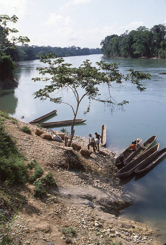 Guatemalan refugees in canoes near a river bank, Puerto Rico, ca. 1983