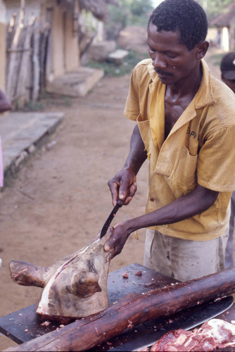 Man butchering a pig, San Basilio de Palenque, 1976