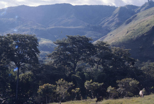 An aerial view, Tierradentro, Colombia, 1975