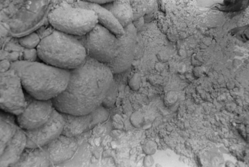 Rocks and mud, Barbacoas, Colombia, 1979