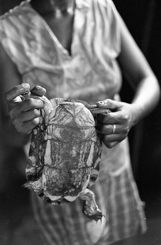 Anselma Salas cooking a turtle, San Basilio de Palenque, 1977