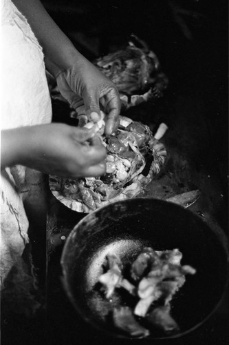 Woman cooking a turtle, San Basilio de Palenque, 1977