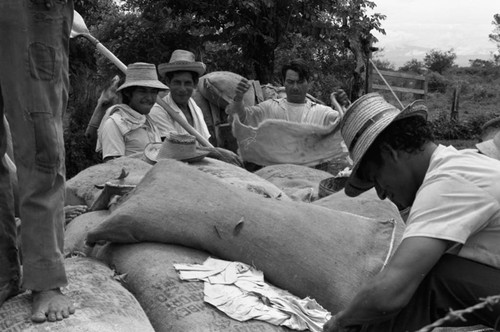 Men out on the field, La Chamba, Colombia, 1975