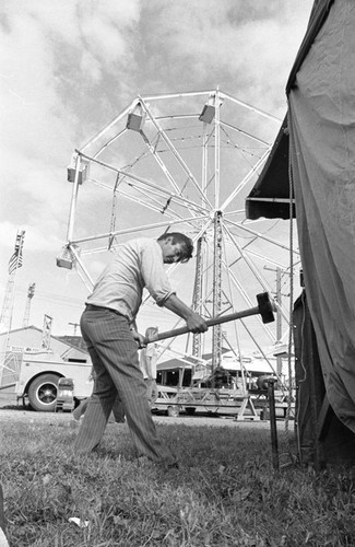 Carnival setup, Pipestone County Fair, 1972