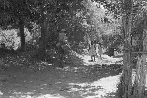 Man on a mule, San Basilio de Palenque, 1976