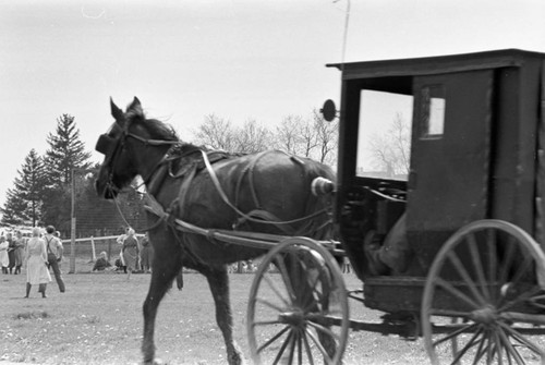 Amish community, Lancaster County, 1974