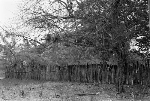 House surrounded by a fence, San Basilio de Palenque, 1977