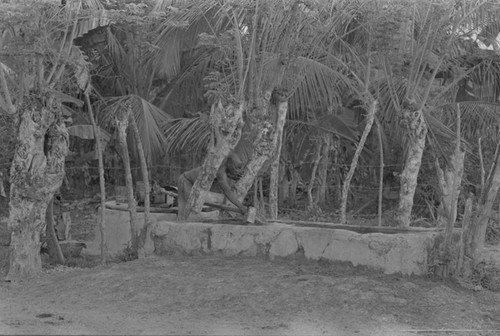 Man collecting water from a cistern, San Basilio de Palenque, ca. 1978