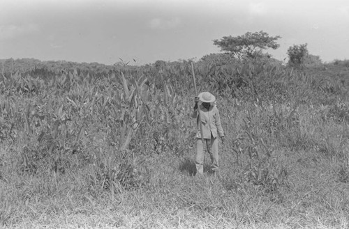 Man walking in a field, San Basilio de Palenque, 1976