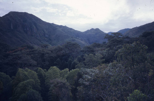 An aerial view, Tierradentro, Colombia, 1975