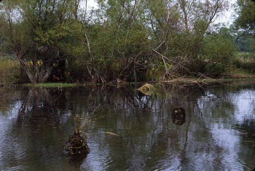 Survival school students practice silent swim techniques, Liberal, 1982