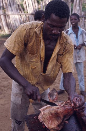 Man butchering a pig, San Basilio de Palenque, 1976