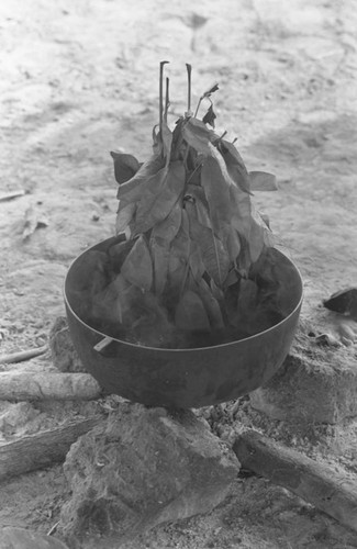 Leaves cooking in a pot, San Basilio de Palenque, 1977