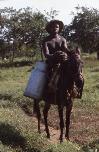 Man riding a mule, San Basilio de Palenque, 1976