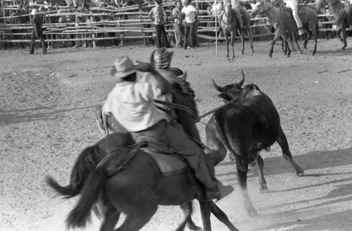 Picador on a horse during bullfight, San Basilio de Palenque, 1975