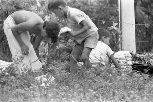 Loading the truck, La Chamba, Colombia, 1975