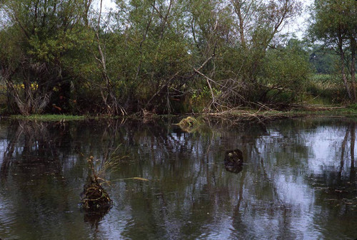 Survival school students practice silent swim techniques, Liberal, 1982